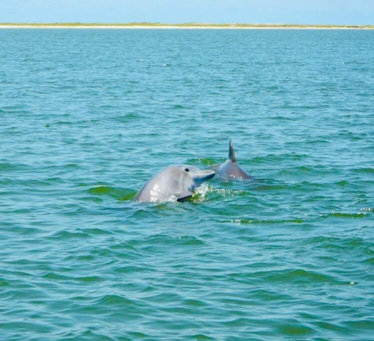 Pet Friendly Tranquil Cottage With Fire-Pit And Seasonal Hot Tub Sept-March Minutes To Beaches Dauphin Island Exterior photo